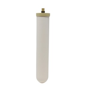 Biotect Ultra M12 Doulton 0.2 μm Replacement Water Filter 